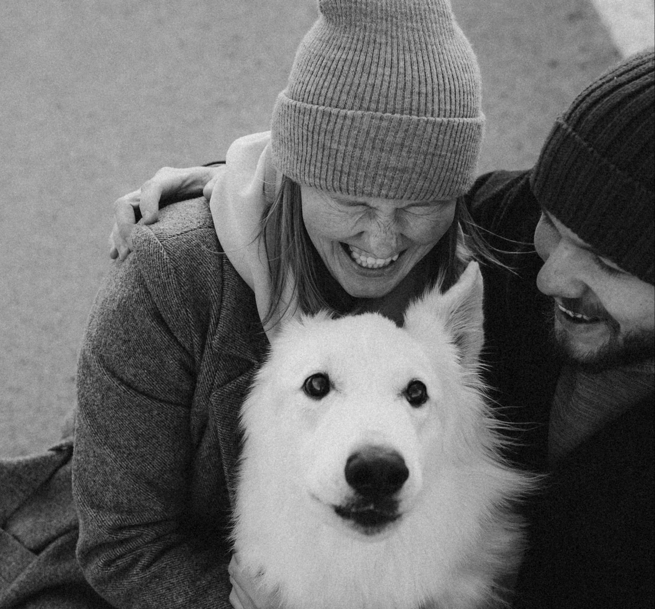 white swiss shepherd dog